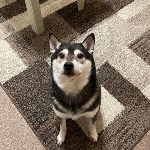 Meet your Posher, Robert